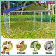 10 X10 Ft Dog Kennel Metal Pet House Poultry Run Cage Enclosure With Cover & Roof
