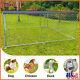 10ft X10ft X 4ft Outdoor Dog Kennel Metal Big Pet Cage For Dog Playpen With Roof
