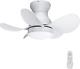 Ceiling Fan Light Dc Motor 22in Remote Control Small Low Profile Kitchen Patio