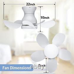 Ceiling Fan Light DC Motor 22in Remote Control Small Low Profile Kitchen Patio