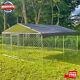 Large Dog Fence 10 X 10 Ft Outdoor Chain Link Dog Kennel Enclosure With Cover
