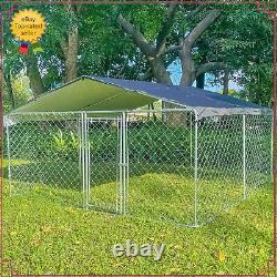 Cage pour chien en métal de 10'x10' avec toit couvert, enclos extérieur pour jouer - Grande cage pour ferme aux États-Unis