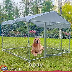 Chenil pour chien d'extérieur en métal avec toit de couverture pour exercice et enclos de jeu pour chien.