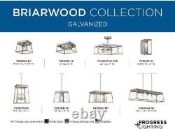 Collection Briarwood 22 pouces 3 lames Moteur AC finition galvanisée de ferme