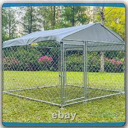 Grande cage d'extérieur pour chien de 10x10 pieds avec toit, enclos de jeu pour animaux de compagnie, niche en métal avec clôture