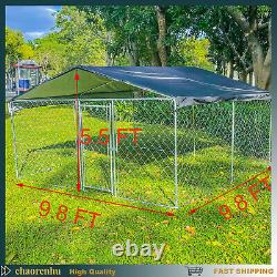 Grande maison enclos pour chien de compagnie avec clôture métallique, toit, située à l'extérieur dans la cour arrière.